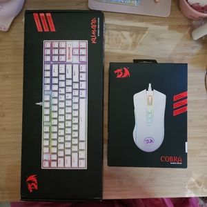 Redragon RGB Keyboard and Mouse